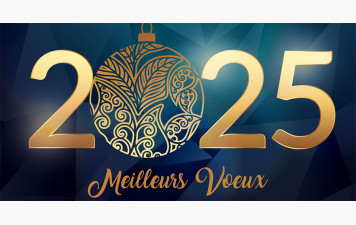 Bonne année 2025